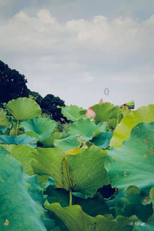 探索妈妈不在就很乖的孩子是不是讨好型的孩子?,发现你的知识星球